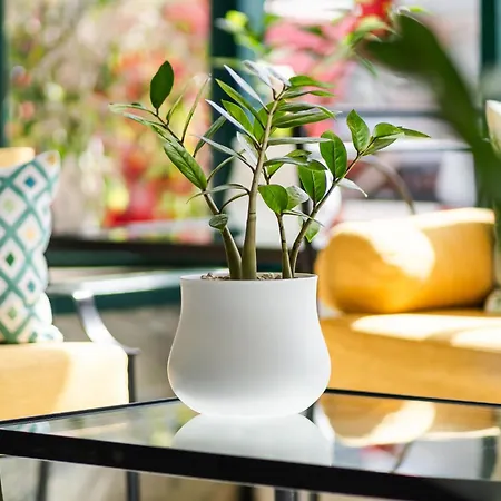 Hovima Panorama Hotel Costa Adeje (Tenerife)